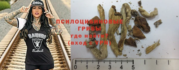 гидропоника Алзамай